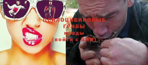 сатива Алексин