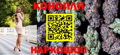 прущие грибы Можайск
