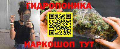 прущие грибы Можайск