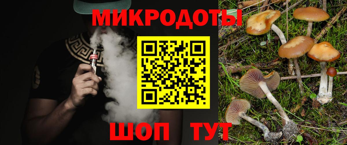 Тверь  Псилоцибиновые грибы Psilocybe  Вход с VPN 